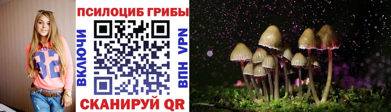 ссылка на мегу как войти  Суздаль  Псилоцибиновые грибы ЛСД 